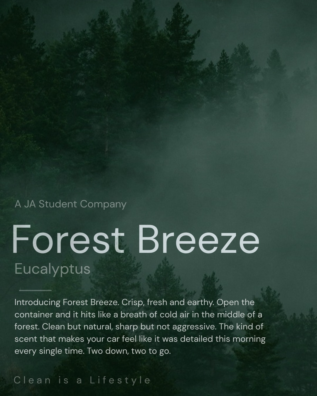 Forest Breeze